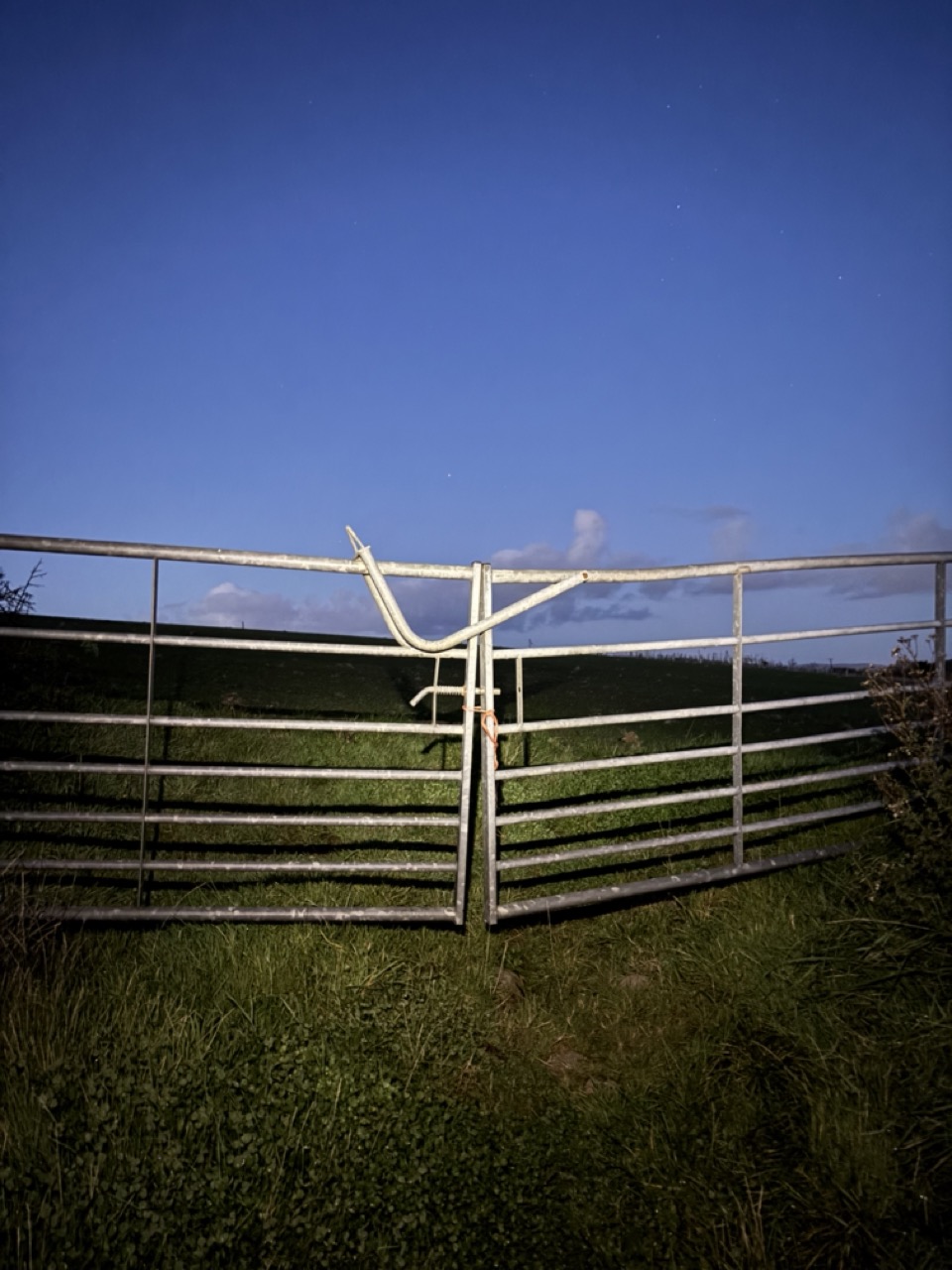 A metal farm gate illuminated at night